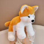 doudou chien shiba