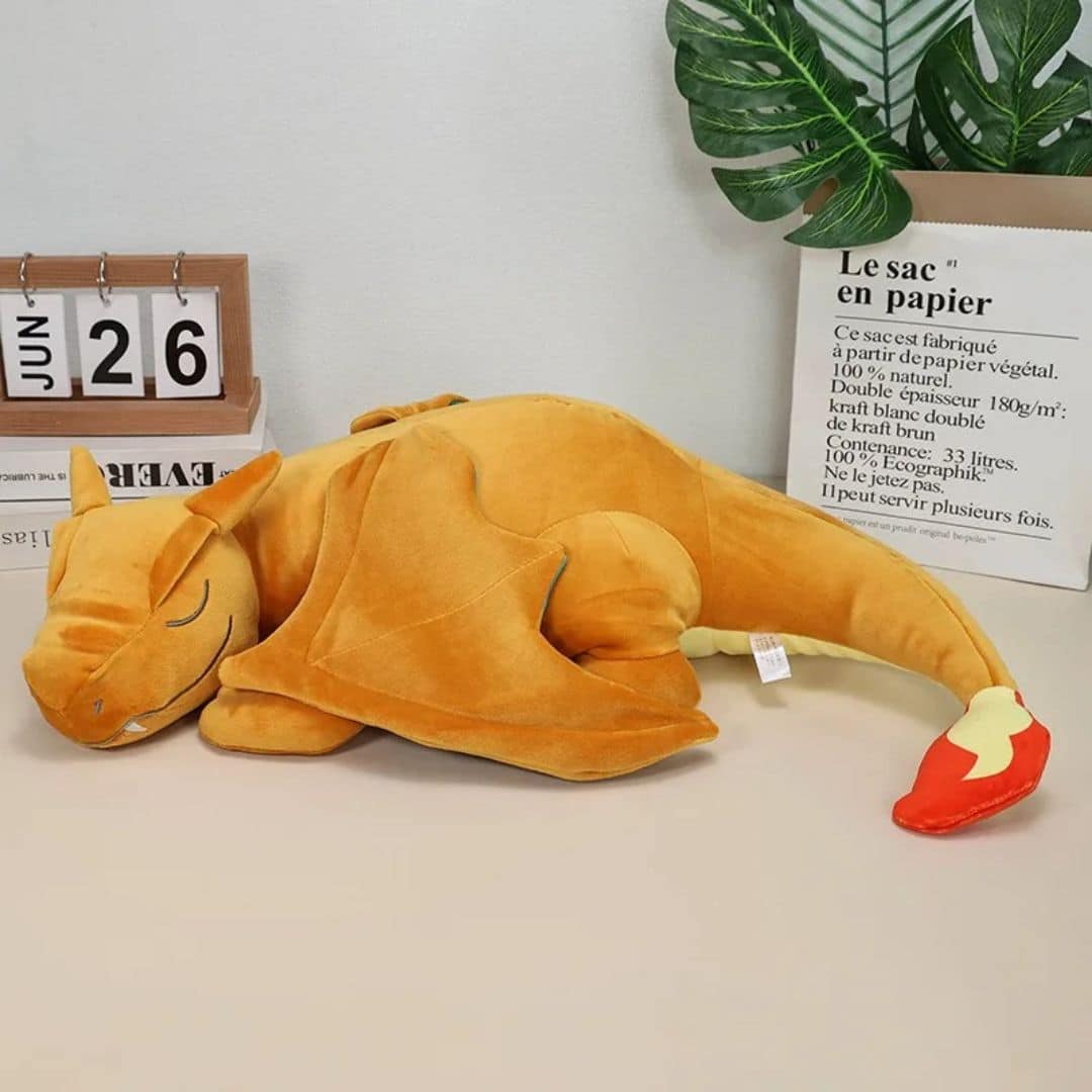 6 37