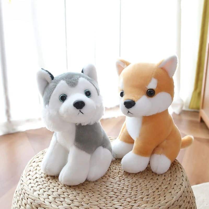 11