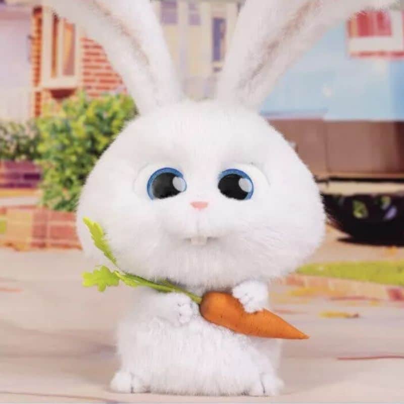 Doudou Lapin Blanc Ultra-Doux 5 12