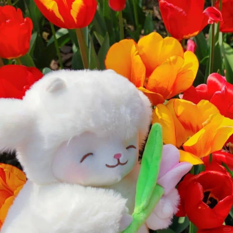 Doudou Mouton Doux avec Fleur 6 6