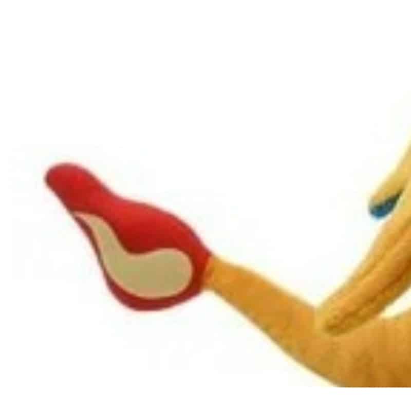 Peluche Méga Dracaufeu Y 6 409